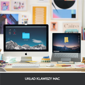 Klawiatura Logitech MX Keys Mini for Mac Pale Grey-4024
