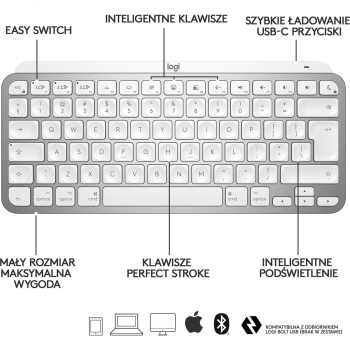 Klawiatura Logitech MX Keys Mini for Mac Pale Grey-4028
